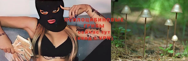 PSILOCYBIN Волосово