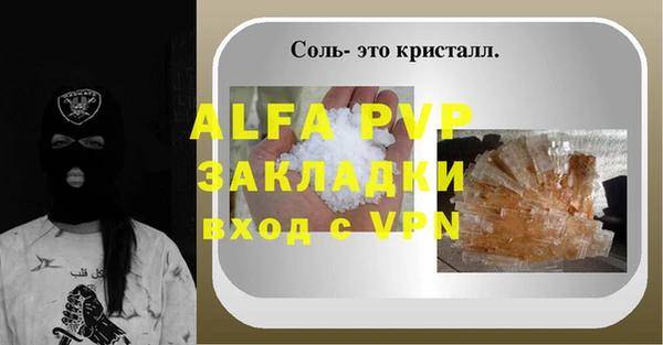 PSILOCYBIN Волосово