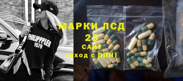 PSILOCYBIN Волосово